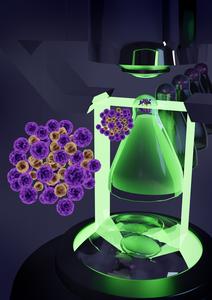 Concept of HCS-3DX