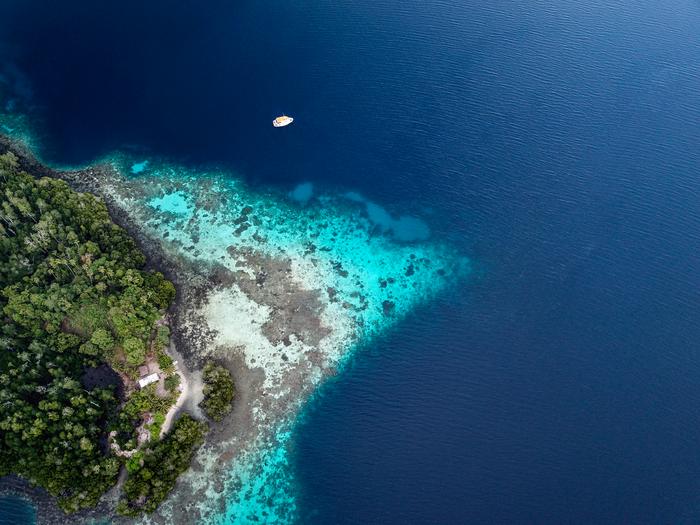 Study site manta ray research PNG