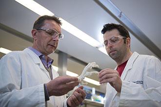 Philippe Bouillet and Derek Lacey, Walter and Eliza Hall Institute