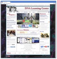 Web Site Homepage