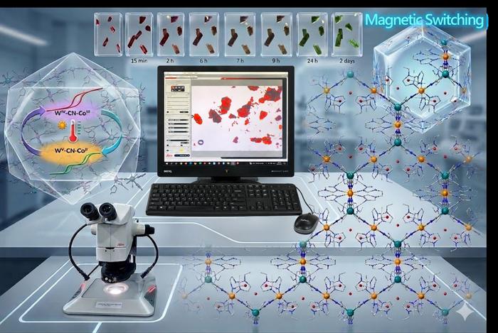 Visualisation of material framework for reversible magnetic switching