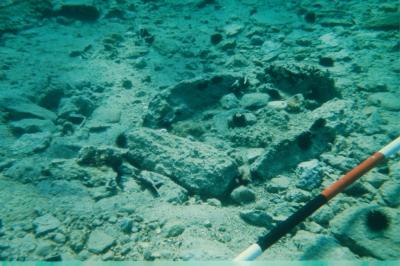 Pavlopetri Grave