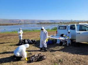 The Movement Ecology Lab team