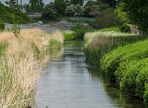 River