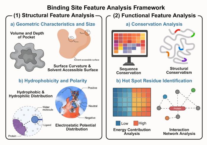 Figure 2. Binding site feature analysis.