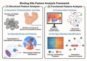 Figure 2. Binding site feature analysis.