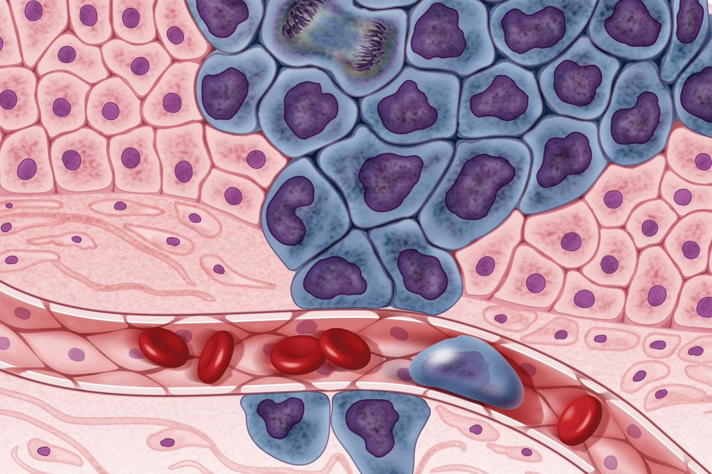 NIH Completes In-Depth Genomic Analysis of 33 Cancer Types