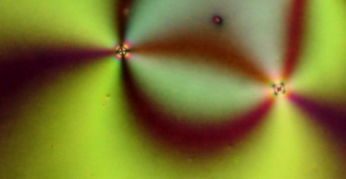 3D U-Net neural network for defect prediction in nematic liquid crystals