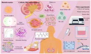 Mechanism diagram of this study