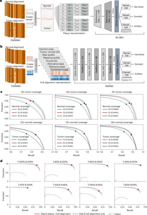 ClairS neural network architecture