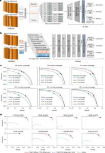 ClairS neural network architecture