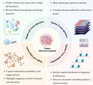 Decoding the Tumor Microenvironment Using Spatial and Single-Cell Omics