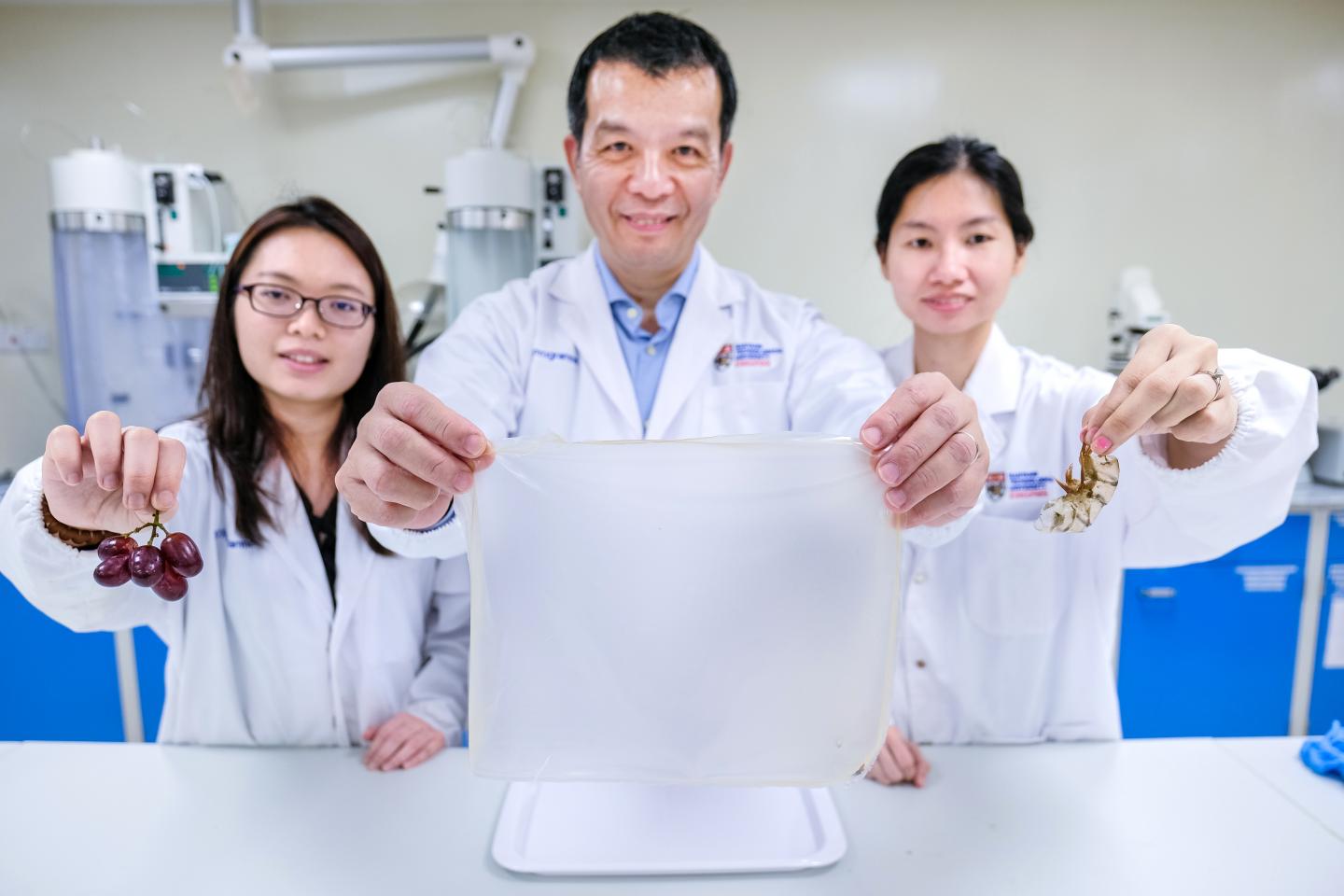Biodegradable and Antimicrobial Food Packaging