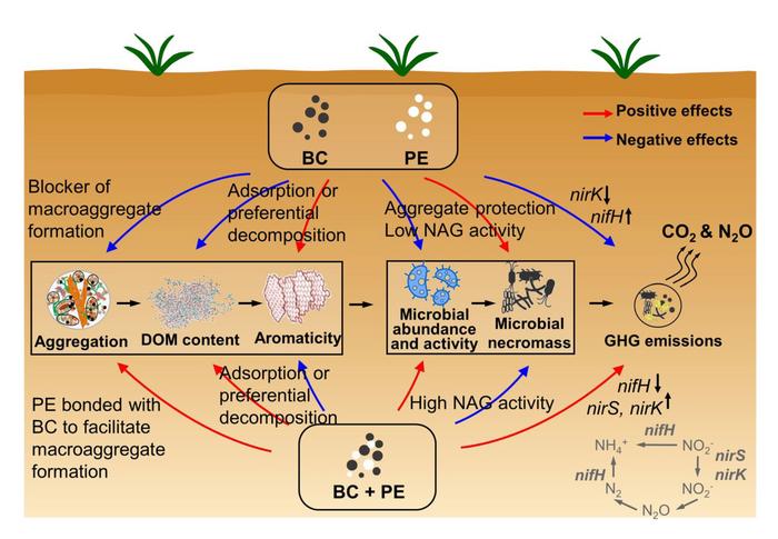 Polyethylene microplastics hamper aged biochar’s potential in mitigating greenhouse gas emissions