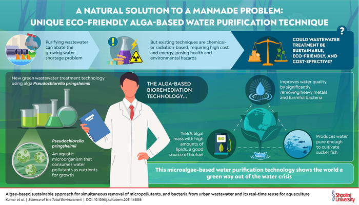 Algae-based sustainable approach