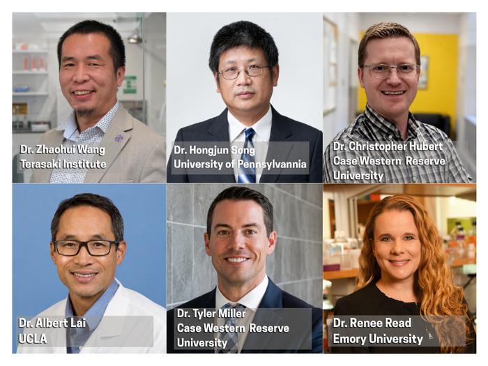 Terasaki Institute Researchers and Key Pioneers Publish Comprehensive Review on Glioma Organoid Models, Proposing New Classification Framework for Brain Cancer Research