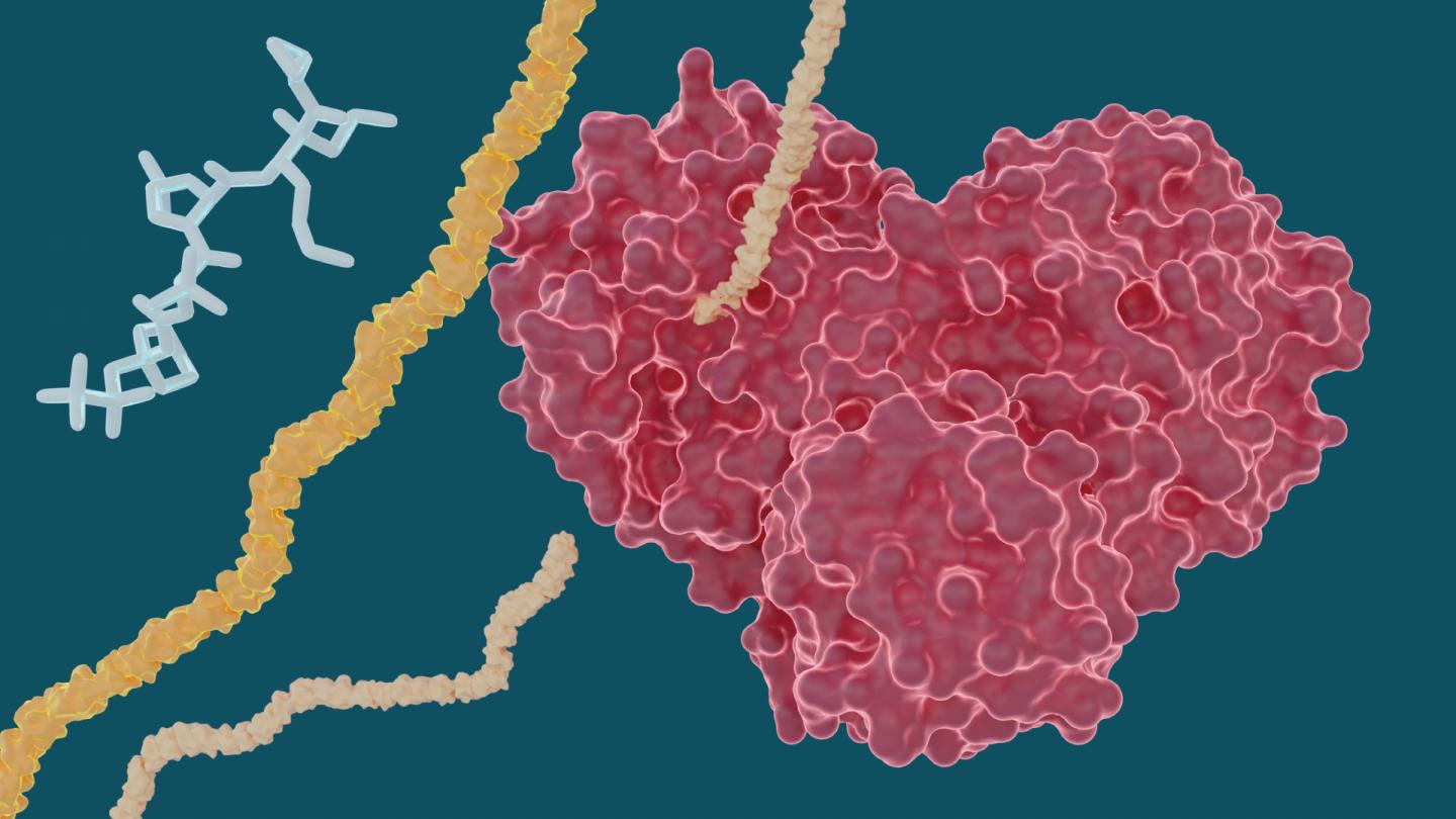 X-ray study explores potential of hepatitis C drugs to treat COVID-19