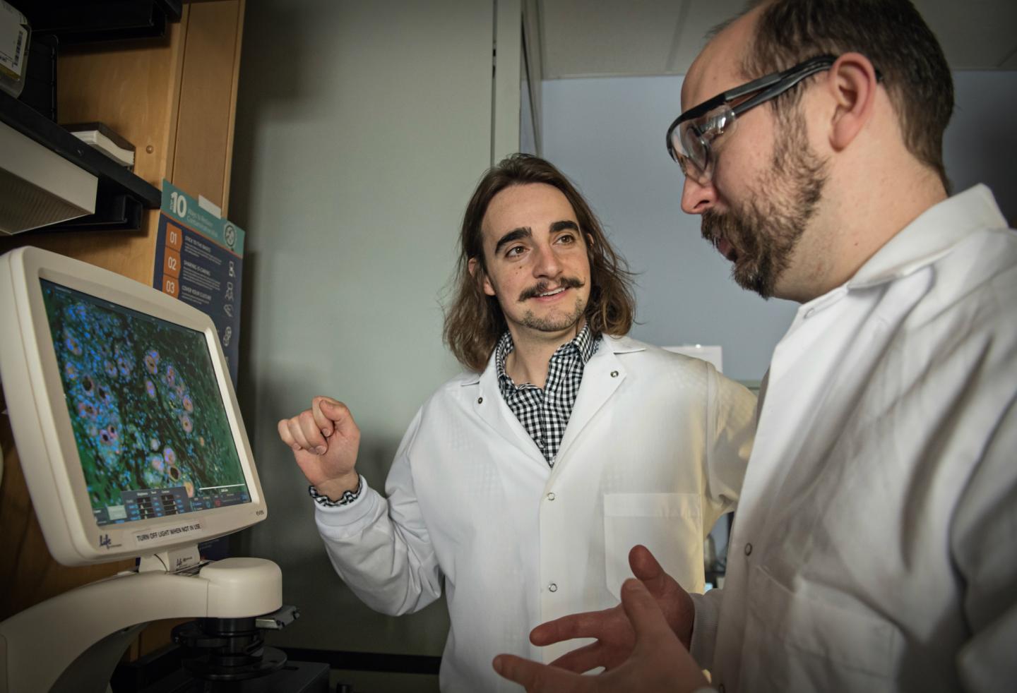 Researchers in Lab