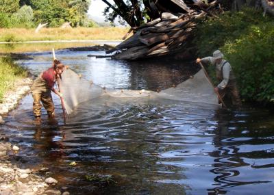 Tiny Fish Can Yield Big Clues to Delaware River Health