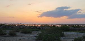 In the Mesopotamian Marshes