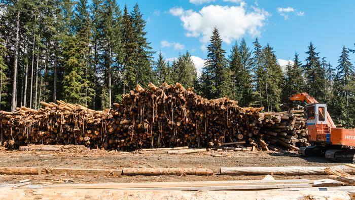Sawmill and timber manufacturer located within the Malcolm Knapp Research Forest in B.C.