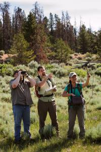 Using Telemetry