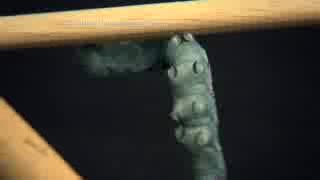 Creeping, Crawling Caterpillars