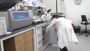 Study first author Pratima Saini pipetting in Mohamed Abdel-Mohsen's lab