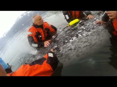 Narwhal Release