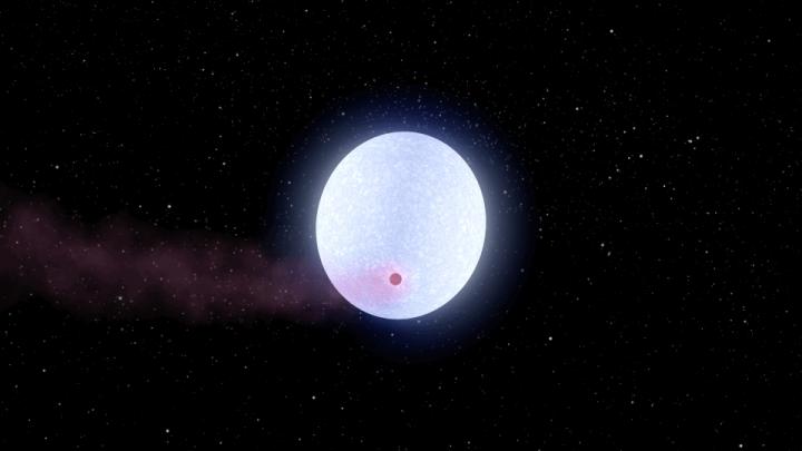 A Newly Discovered Jupiter-Like World