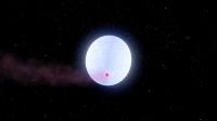 A Newly Discovered Jupiter-Like World