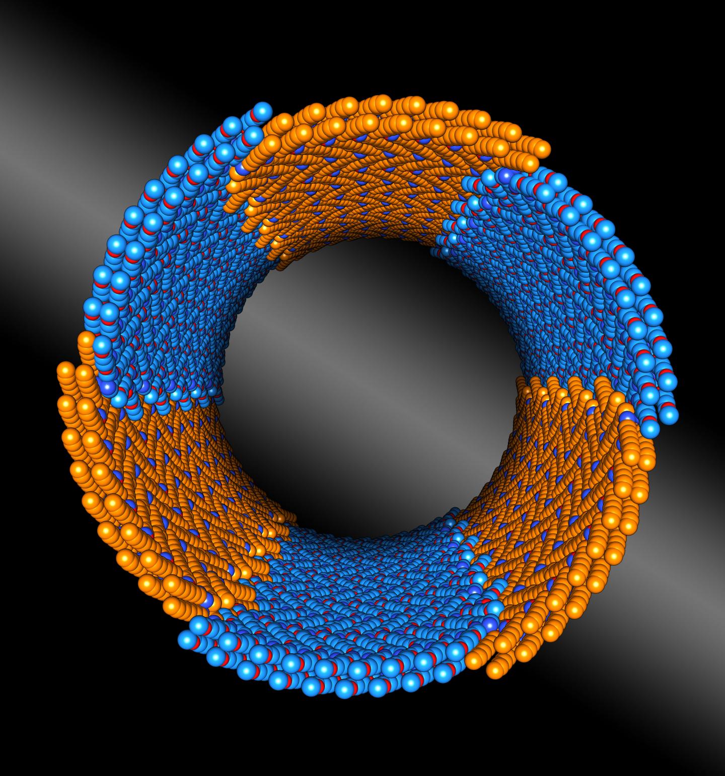 Nature-Inspired Nanotubes That Assemble Themselves, With Precision
