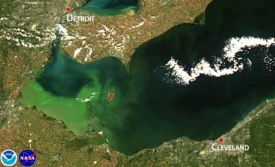 Satellite Image of 2013 Intense Bloom