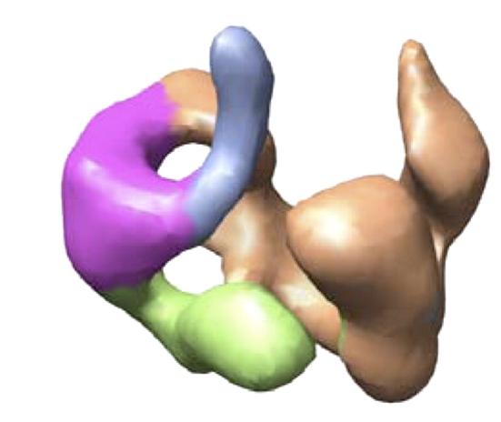 DNA-PK