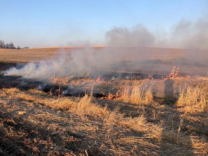 Controlled Burn