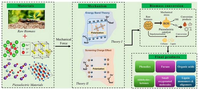 Fundamentals, advances, and perspectives of piezocatalysis for biomass conversion