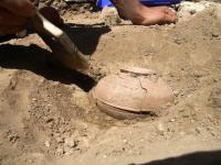 Bowl Emerges