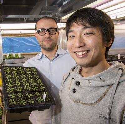 Cyril Zipfe and Yasuhiro Kadota, Norwich BioScience Institutes