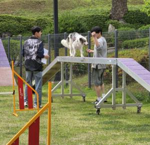 Associations between canine temperament and salivary concentrations of cortisol and serotonin