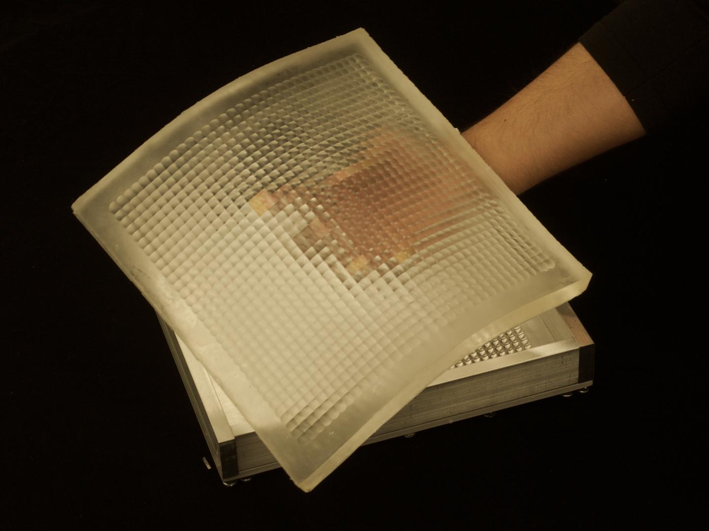 Flexible Lens Array