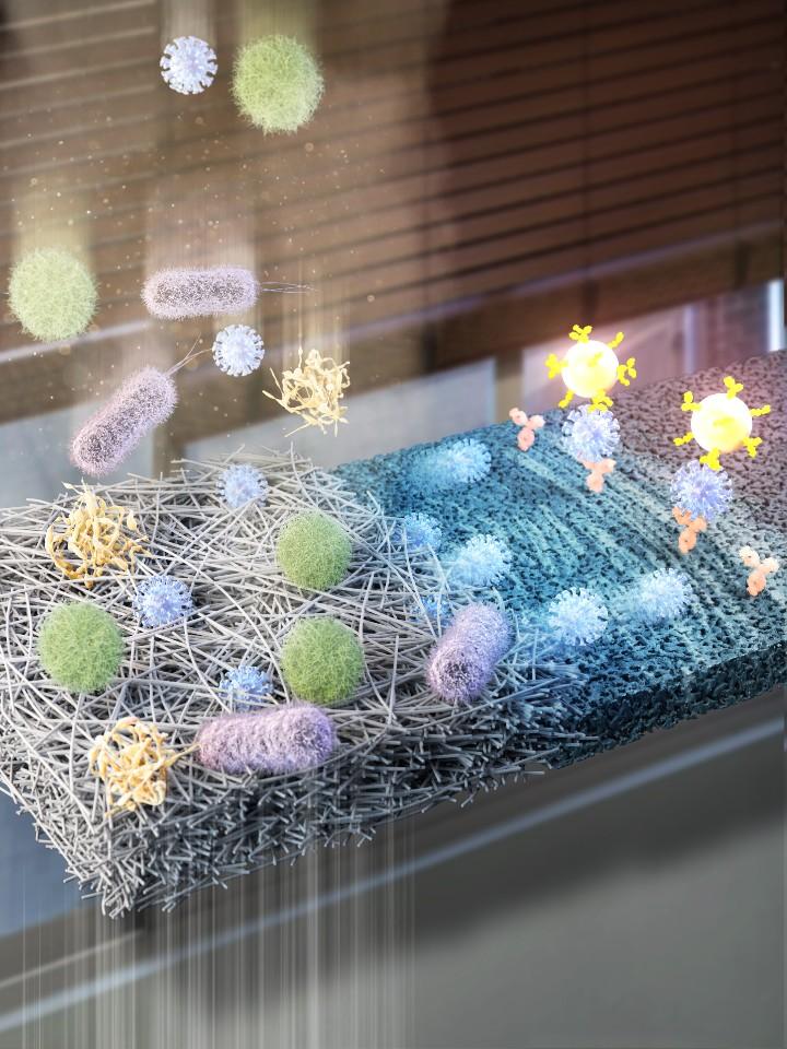 Graphical abstract