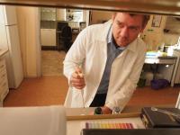 Detecting Phenols in Sausage Using Vitamin B4