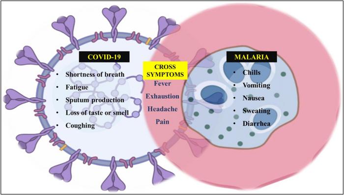 Covid-19 vs Malaria