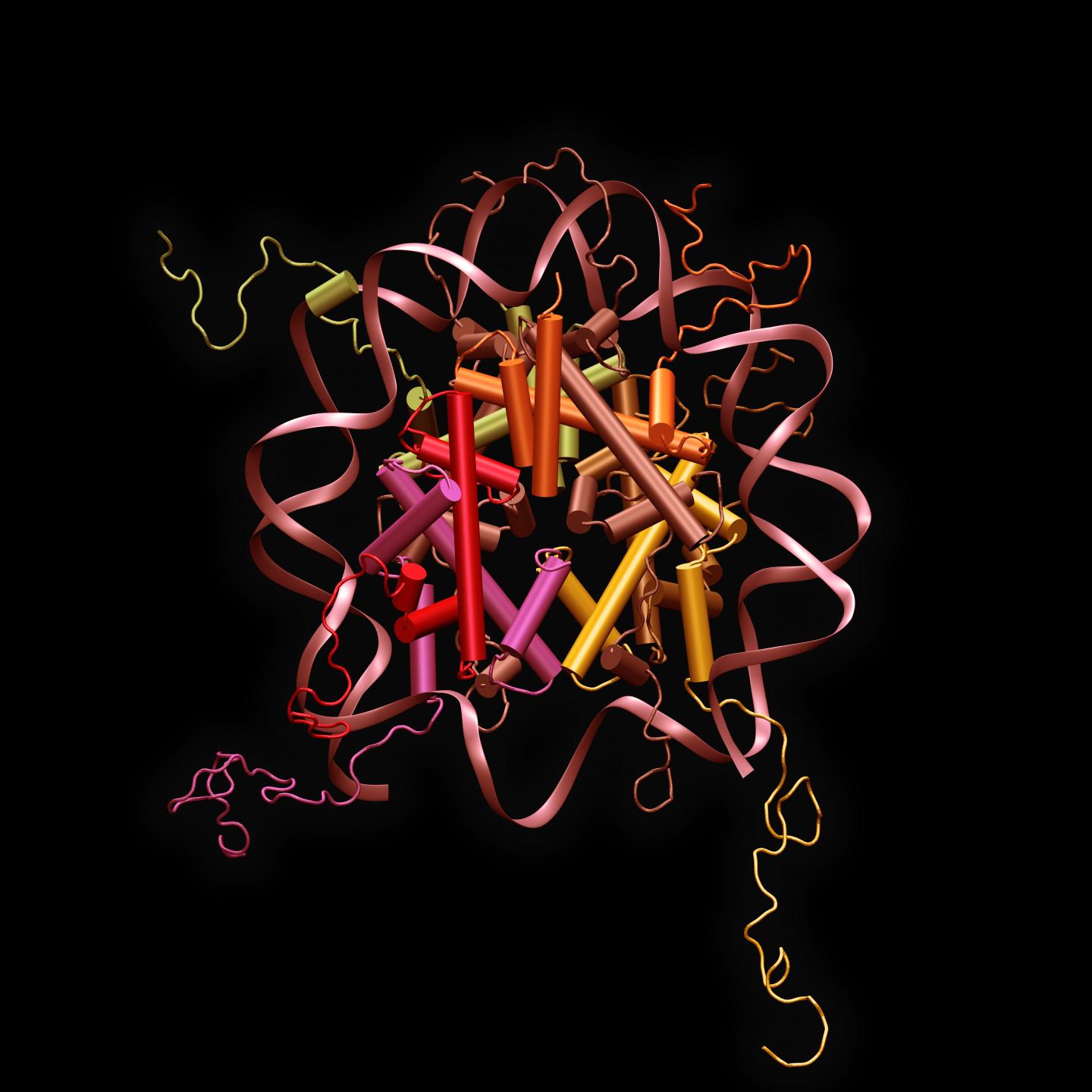 Nucleosome