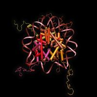 Nucleosome