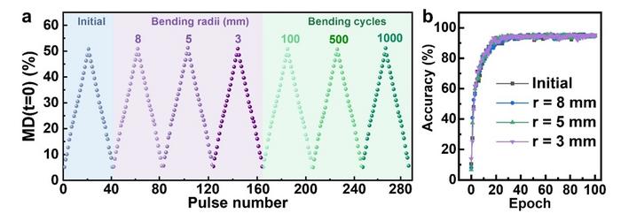 Figure 2 | Stable terahertz response and ANN-based image recognition.