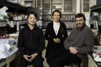 Researchers