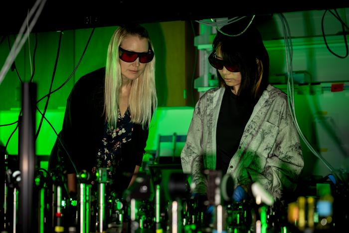 In the microscope room