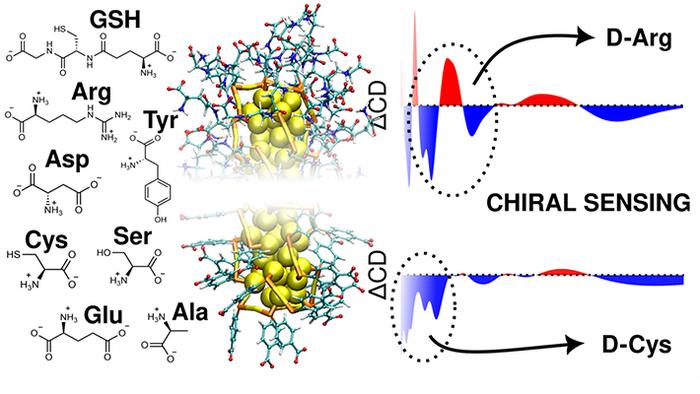 Illustrative image of the gold nanoclusters