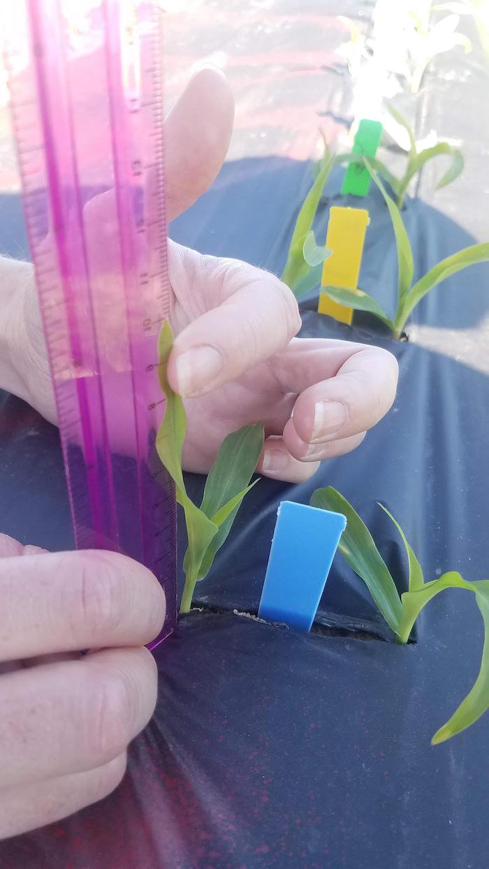 Measuring results